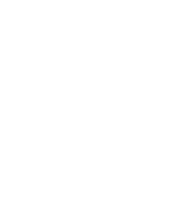 Palm Tree